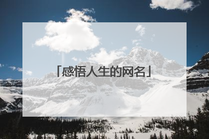 感悟人生的网名