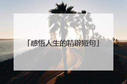 感悟人生的精辟短句