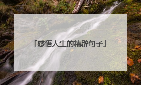 感悟人生的精辟句子