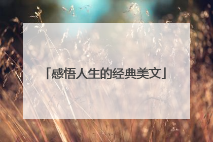 感悟人生的经典美文