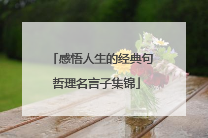 感悟人生的经典句哲理名言子集锦