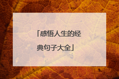 感悟人生的经典句子大全