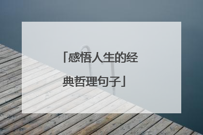 感悟人生的经典哲理句子