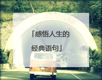 感悟人生的经典语句
