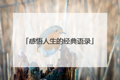 感悟人生的经典语录