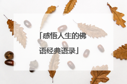 感悟人生的佛语经典语录