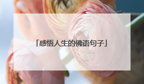 感悟人生的佛语句子