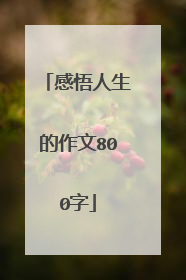感悟人生的作文800字