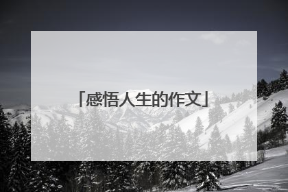 感悟人生的作文