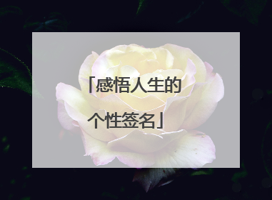 感悟人生的个性签名