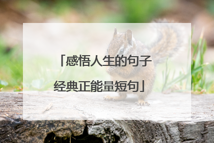 感悟人生的句子经典正能量短句