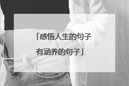 感悟人生的句子有涵养的句子