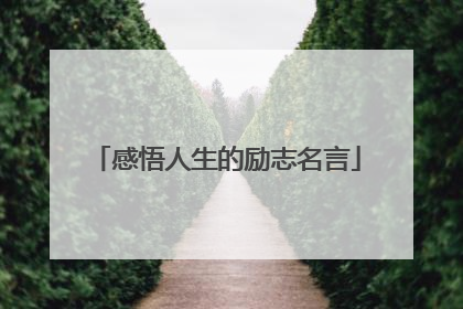感悟人生的励志名言