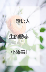 感悟人生的励志小故事