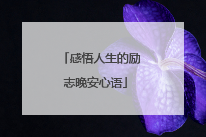 感悟人生的励志晚安心语