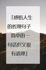 感悟人生的哲理句子 简单的一句话但又很有道理
