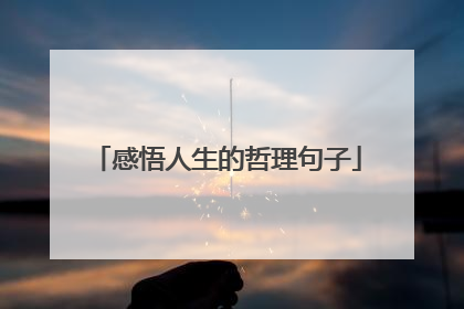感悟人生的哲理句子