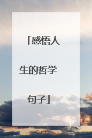 感悟人生的哲学句子