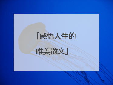 感悟人生的唯美散文