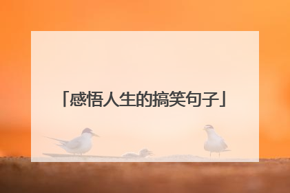 感悟人生的搞笑句子