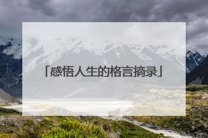 感悟人生的格言摘录