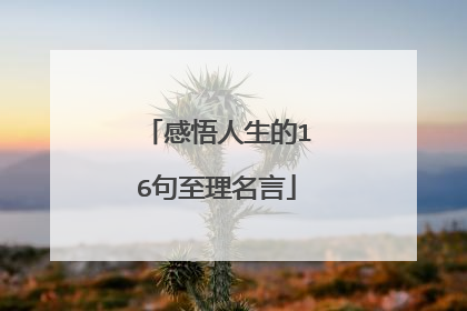 感悟人生的16句至理名言