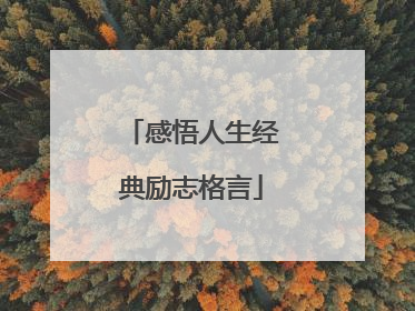 感悟人生经典励志格言