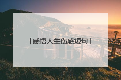 感悟人生伤感短句