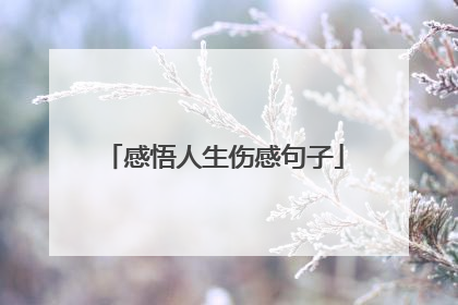 感悟人生伤感句子