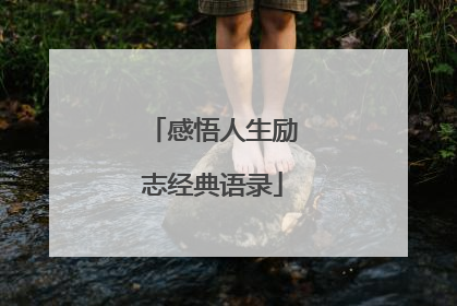 感悟人生励志经典语录