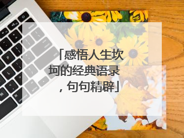 感悟人生坎坷的经典语录，句句精辟