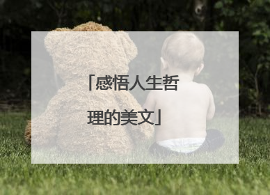 感悟人生哲理的美文