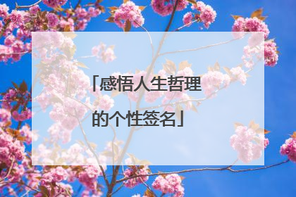 感悟人生哲理的个性签名