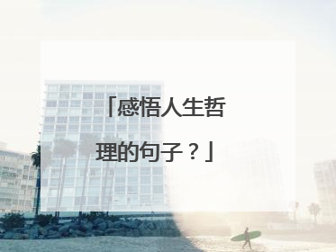 感悟人生哲理的句子?