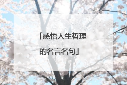 感悟人生哲理的名言名句