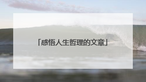 感悟人生哲理的文章