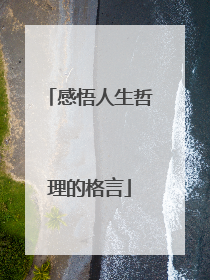 感悟人生哲理的格言