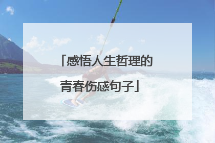 感悟人生哲理的青春伤感句子