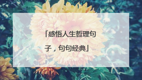 感悟人生哲理句子,句句经典