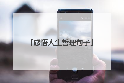 感悟人生哲理句子