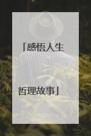感悟人生哲理故事