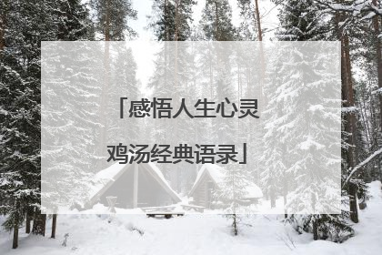 感悟人生心灵鸡汤经典语录