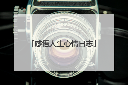 感悟人生心情日志