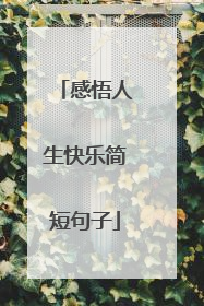 感悟人生快乐简短句子