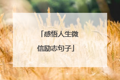 感悟人生微信励志句子