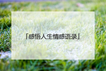 感悟人生情感语录