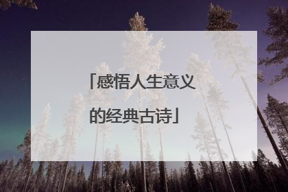 感悟人生意义的经典古诗