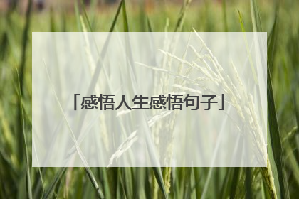 感悟人生感悟句子