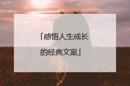 感悟人生成长的经典文案