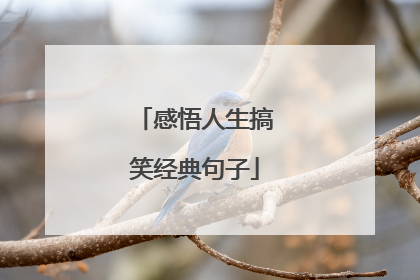 感悟人生搞笑经典句子